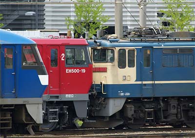 shintsurumi_20100419.jpg